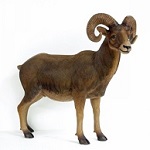 Ileya